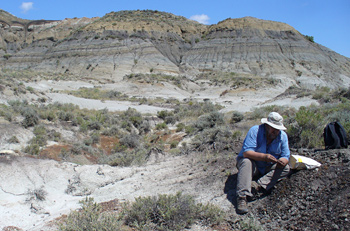 Paul Renne collecting volcanic ash samples in Montana.